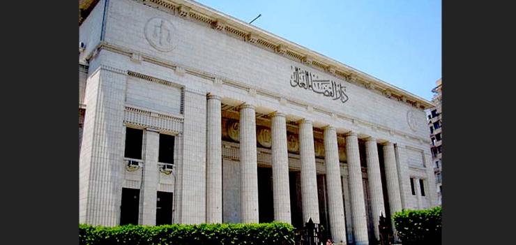 Egypt Administration of Criminal Justice Project
