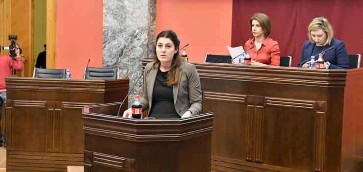Photo Credit: Parliament of Georgia