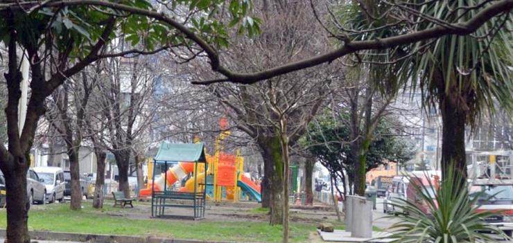 Recreational status was granted to the non-agricultural land plots on Javakhishvili Street
