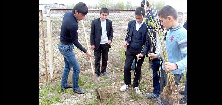 Schoolchildren in Aliyetmazli community in Imishli planting trees in their schoolyard within the Civic Engagement Grant program executed by “Dalga” Ecology and Nature Protection Public Union